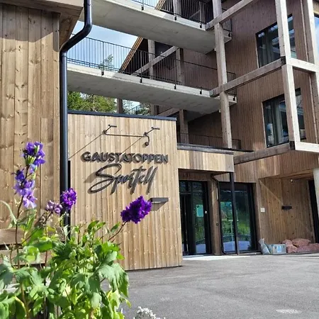 Hotel apartamentowy Gausta Gaustablikk